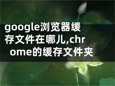 google瀏覽器緩存文件在哪兒,chrome的緩存文件夾