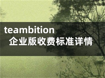 teambition企業(yè)版收費(fèi)標(biāo)準(zhǔn)詳情