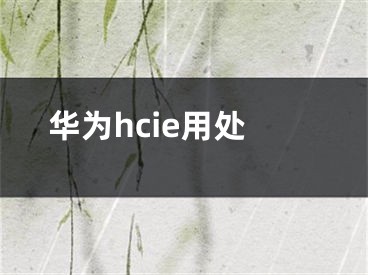 華為hcie用處