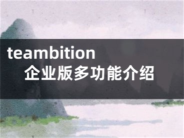 teambition企業(yè)版多功能介紹