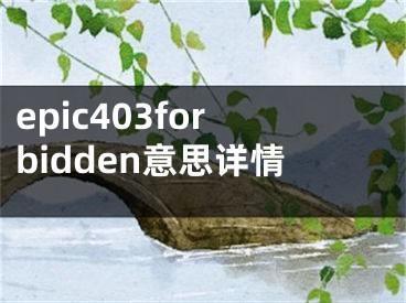 epic403forbidden意思詳情