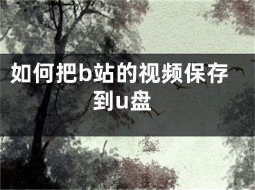 如何把b站的視頻保存到u盤