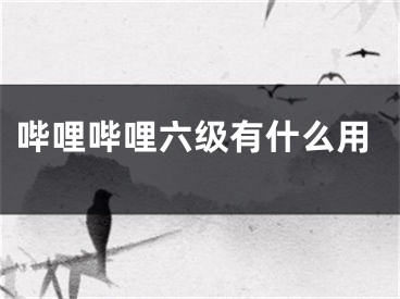 嗶哩嗶哩六級(jí)有什么用