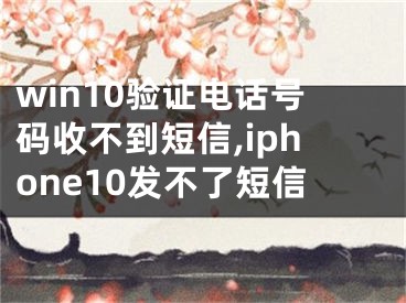 win10驗證電話號碼收不到短信,iphone10發(fā)不了短信