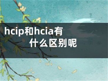 hcip和hcia有什么區(qū)別呢