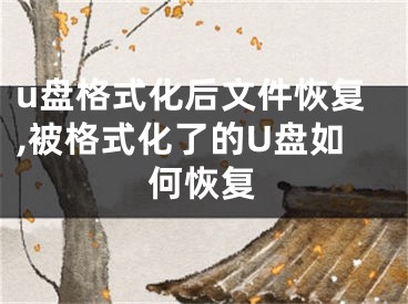 u盤格式化后文件恢復(fù),被格式化了的U盤如何恢復(fù)