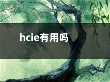 hcie有用嗎