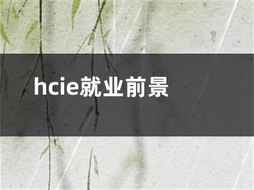 hcie就業(yè)前景