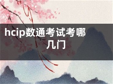 hcip數(shù)通考試考哪幾門