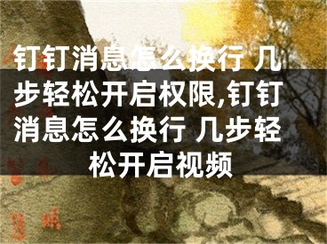 釘釘消息怎么換行 幾步輕松開啟權限,釘釘消息怎么換行 幾步輕松開啟視頻