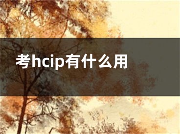 考hcip有什么用