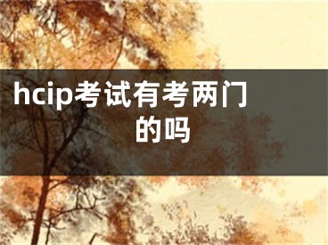 hcip考試有考兩門(mén)的嗎