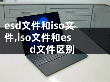 esd文件和iso文件,iso文件和esd文件區(qū)別