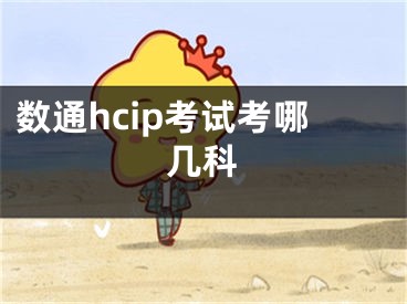 數(shù)通hcip考試考哪幾科