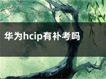 華為hcip有補考嗎