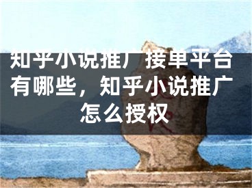 知乎小說推廣接單平臺有哪些，知乎小說推廣怎么授權