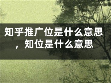 知乎推廣位是什么意思，知位是什么意思