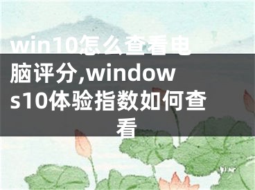 win10怎么查看電腦評分,windows10體驗指數(shù)如何查看