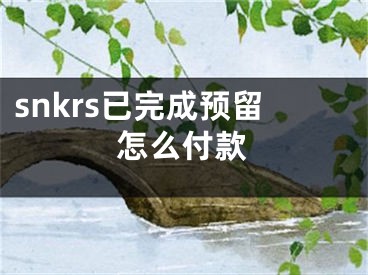 snkrs已完成預(yù)留怎么付款