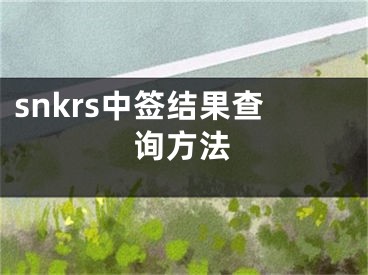 snkrs中簽結(jié)果查詢方法