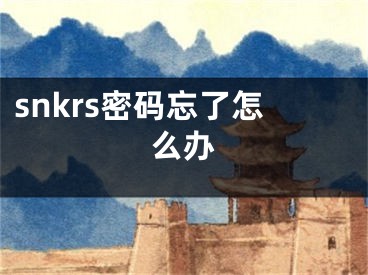 snkrs密碼忘了怎么辦