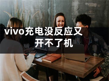 vivo充電沒反應(yīng)又開不了機