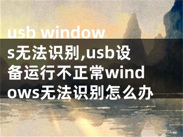 usb windows無法識(shí)別,usb設(shè)備運(yùn)行不正常windows無法識(shí)別怎么辦