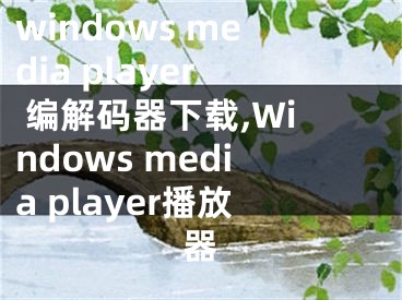 windows media player 編解碼器下載,Windows media player播放器