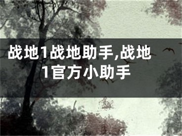 戰(zhàn)地1戰(zhàn)地助手,戰(zhàn)地1官方小助手