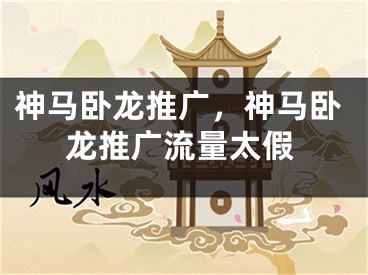 神馬臥龍推廣，神馬臥龍推廣流量太假