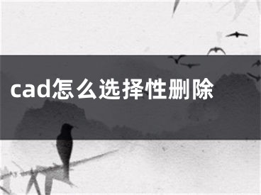 cad怎么選擇性刪除