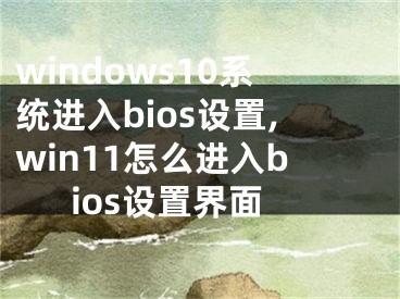 windows10系統(tǒng)進(jìn)入bios設(shè)置,win11怎么進(jìn)入bios設(shè)置界面