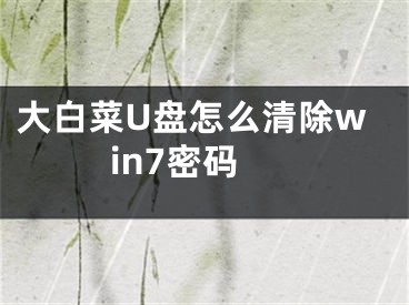 大白菜U盤怎么清除win7密碼