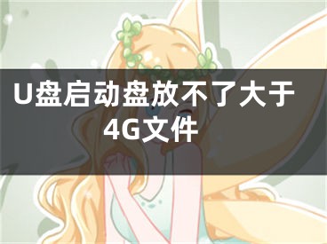 U盤啟動盤放不了大于4G文件