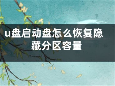 u盤(pán)啟動(dòng)盤(pán)怎么恢復(fù)隱藏分區(qū)容量