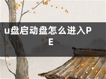 u盤啟動盤怎么進(jìn)入PE