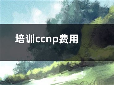 培訓(xùn)ccnp費(fèi)用