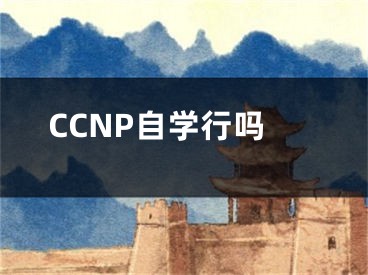 CCNP自學(xué)行嗎