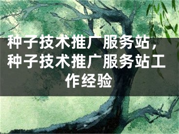 種子技術(shù)推廣服務(wù)站，種子技術(shù)推廣服務(wù)站工作經(jīng)驗