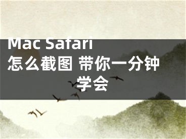 Mac Safari怎么截圖 帶你一分鐘學(xué)會