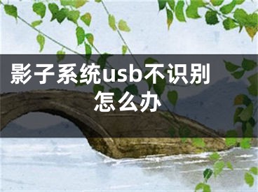 影子系統(tǒng)usb不識別怎么辦