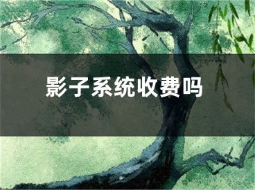 影子系統(tǒng)收費嗎