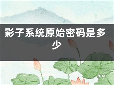 影子系統(tǒng)原始密碼是多少