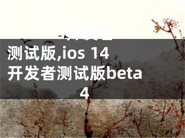 ios14.5開發(fā)者測試版,ios 14開發(fā)者測試版beta 4