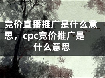 競價直播推廣是什么意思，cpc競價推廣是什么意思