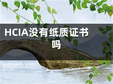 HCIA沒有紙質(zhì)證書嗎