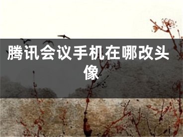 騰訊會(huì)議手機(jī)在哪改頭像