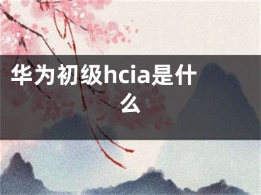 華為初級hcia是什么