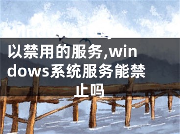 windows10可以禁用的服務(wù),windows系統(tǒng)服務(wù)能禁止嗎