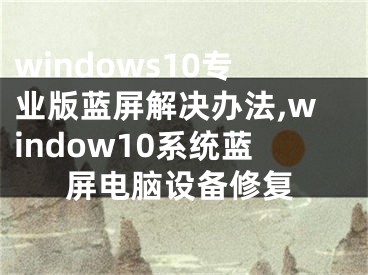 windows10專業(yè)版藍(lán)屏解決辦法,window10系統(tǒng)藍(lán)屏電腦設(shè)備修復(fù)